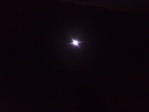 Nverdad's profile picture. 