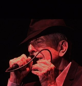 bromideW's profile picture. outback dweller (pun intended) battered ute & rescue dogs - honoured to live on Wiljaali/Wilyakali country