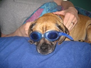 BrandonVieira2's profile picture. 