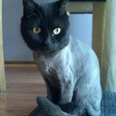 beth dusenka - @betsy186 - Twitter