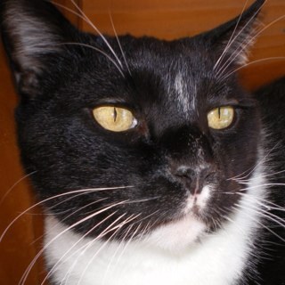 gjfdboy's profile picture. 