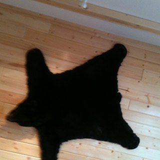 DavidBerg1902's profile picture. 