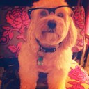 Olive Martin - @olivethegreat88 - Twitter