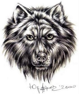 Lucas_891's profile picture. Sempre precisei de um pouco de atenção...