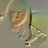 yolandaayukw's profile image