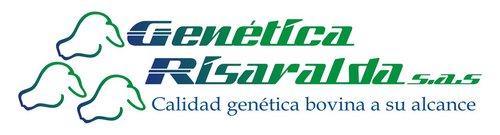 CENTRAL DE NOVILLAS RECEPTORAS GENETICA RISARALDA S.A.S PEREIRA-RISARALDA

-Transferencia de embriones
-Inseminacion artificial
-Novillas preñez garantizada