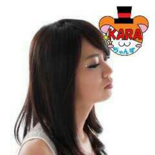 スンヨン/ジヨン/佐々木希/音楽/等が大好きです。KARAちゃんずNo.106/seungyeon連盟No.120/5KARA 同好会No.2/KARA写真部No.14/ハンスンぺん愛LOVE同盟No.64/KAMILIA王国KARA軍中将