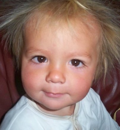 fatlegsdan's profile picture. 