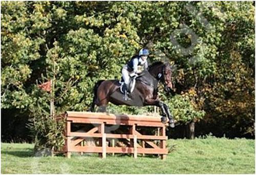 To raise the profile of Pony Trials and the stars of the future. What would u like to see on site? Tweet us or email to admin@ponytrials.co.uk