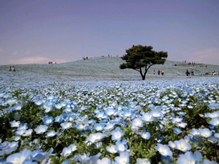 masuda495's profile picture. 絵画、仏像などの美術観賞、スポーツ観戦が大好きです。