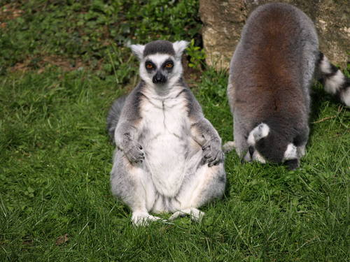 sandiethenutter's profile picture. Nutter by name nutter by nature! Loves Aha, Doctor Who and my cats!