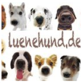 Der Hunde Blog luenehund der Region Lüneburg ! Alles Wichtige rund um Hunde, Gesundheit, Agility , Sportarten, Treffpunkte, Gruppen und vieles mehr !