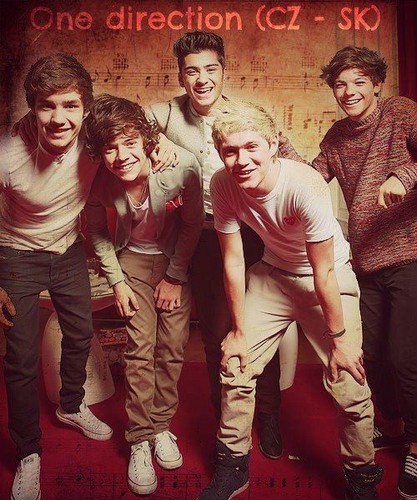 Czech and Slovak #directioners :) http://t.co/GJ6ZF2BnSm ---  naša fb stránka :) Like! :)