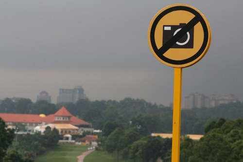 local_just_101's profile picture. 