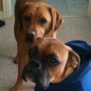 Chad Braswell - @BlaSdeLL5 - Twitter