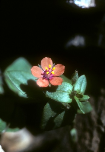 lady22lab's profile picture. 