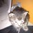 SylvieBuet's profile image