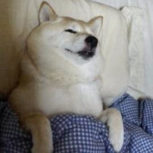 tofb189ryuta's profile picture. 逆境○