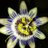tony_soy_yo's profile image