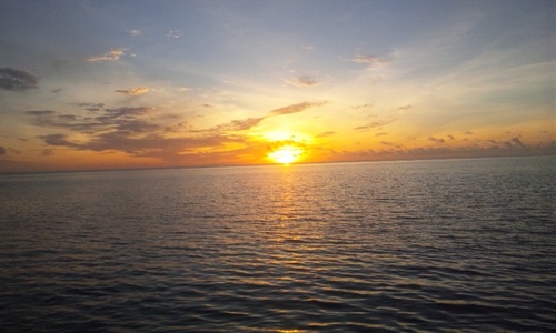 o_m_g1985's profile picture. 