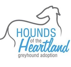 GreyhoundPetsOK's profile picture. a non-profit humane organization dedicated to finding loving homes for retired racing greyhounds