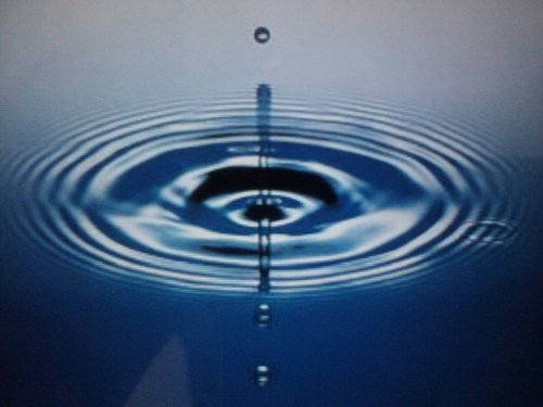 Armbruster9's profile picture. Husband, GirlDad, Administrator & Coach