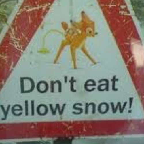 Nervenkobold's profile picture. 