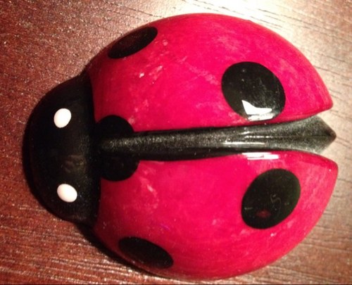 lotsofladybugs's profile picture. 