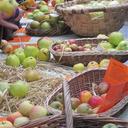 Annie Apple - @foodannie - Twitter