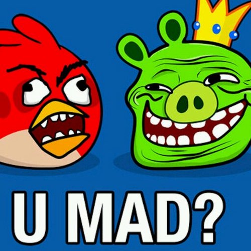 Nipkd's profile picture. 