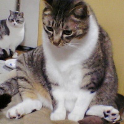 しおへい Dattyo09 ダイソンっていうとターミネーター2で恐ろしくかわいそう な目にあった黒人男性が真っ先に思い浮かびます