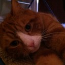 Charlie - @_GingerCharles - Twitter