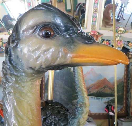 GLEC_Ostrich's profile picture. Glen Echo Park's historic 1921 Dentzel Carousel contains many animals and I am just one of them! Follow my tweets to see what's going on here at Glen Echo.