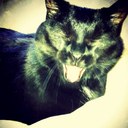 julia darling - @juliakd - Twitter