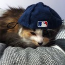 Chris Longo - @chrislongo1125 - Twitter