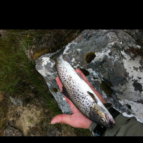 stuarty1001's profile picture. 