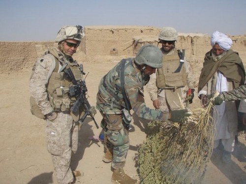 jmmedina1's profile picture. 