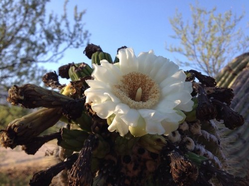 IiiMartinj's profile picture. Border Dweller