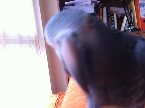 burcue_04's profile picture. .