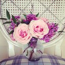 Paulette Pearson - @pdpearson - Twitter