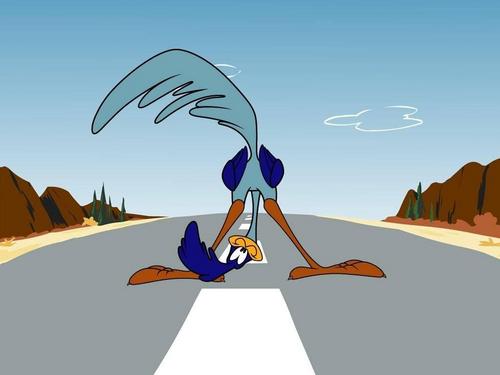 Mec Mec... al final Coyote me caza... cabrón