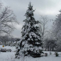 Jack Pinette (@jackp) 's Twitter Profile