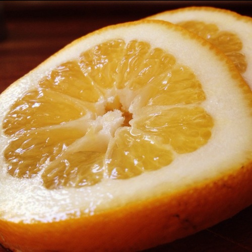 Instaliquor's profile picture. Just two regular liquor sippin' gents.