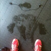 Paul Gignac (@pgignac) 's Twitter Profile