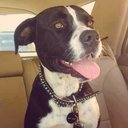 Mary Jane Cyrus - @ReaIMaryJCyrus - Twitter