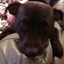 Lynette Nolan - @LynetteNolan - Twitter