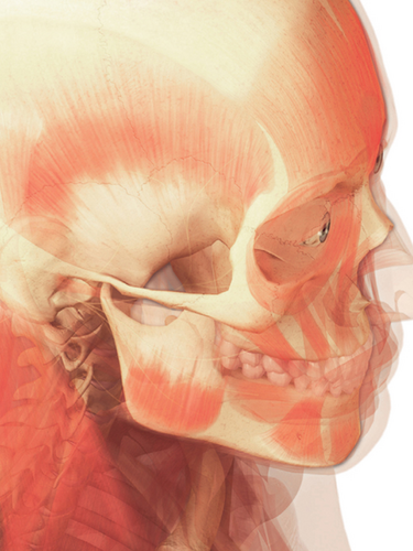 Perfil Oficial de la Cátedra de Odontología Legal y Forense de LUZ. Siguenos en INSTAGRAM @ODONTOLOGIA_FORENSE_VE