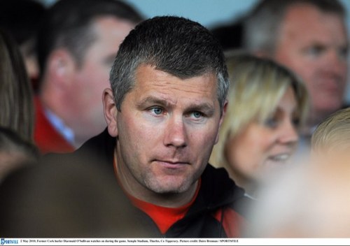 Diarmuid O'Sullivan Profile
