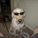 sean marney - @SeanMarney - Twitter