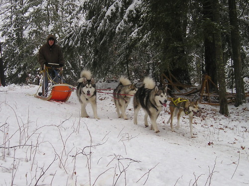 Malamute07's profile picture. 